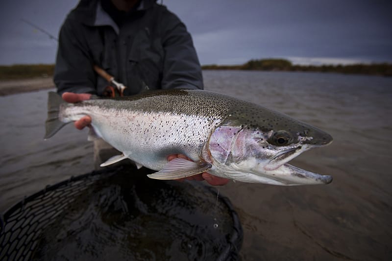 Bristol Bay, Alaska 7